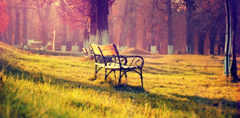 网页免费发手机号